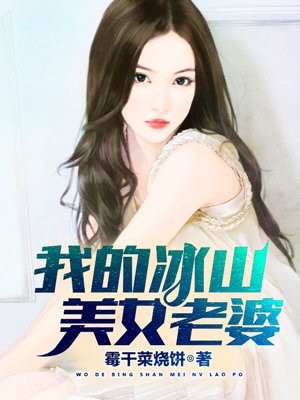 我的冰山美女老婆叶帆